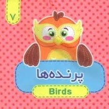 پرنده ها کتاب پارچه ای 07